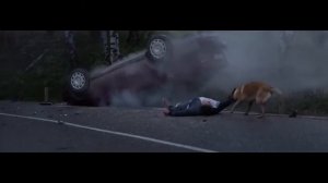 Верность собаки. Грусное видео до слёз.