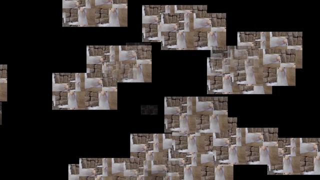 Funny chicken dance 13 ! funny chicken song & videos смотреть онлайн