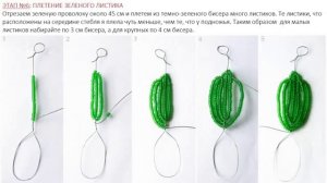 Гималайский  Мак  из бисера МК