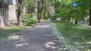 Воронеж оказался во власти тополиного пуха
