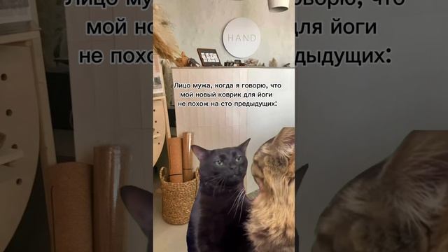 Самые лучшие коврики для йоги можно купить у нас в HAND? #йога #здоровье #зож #спорт #асаны смотреть онлайн