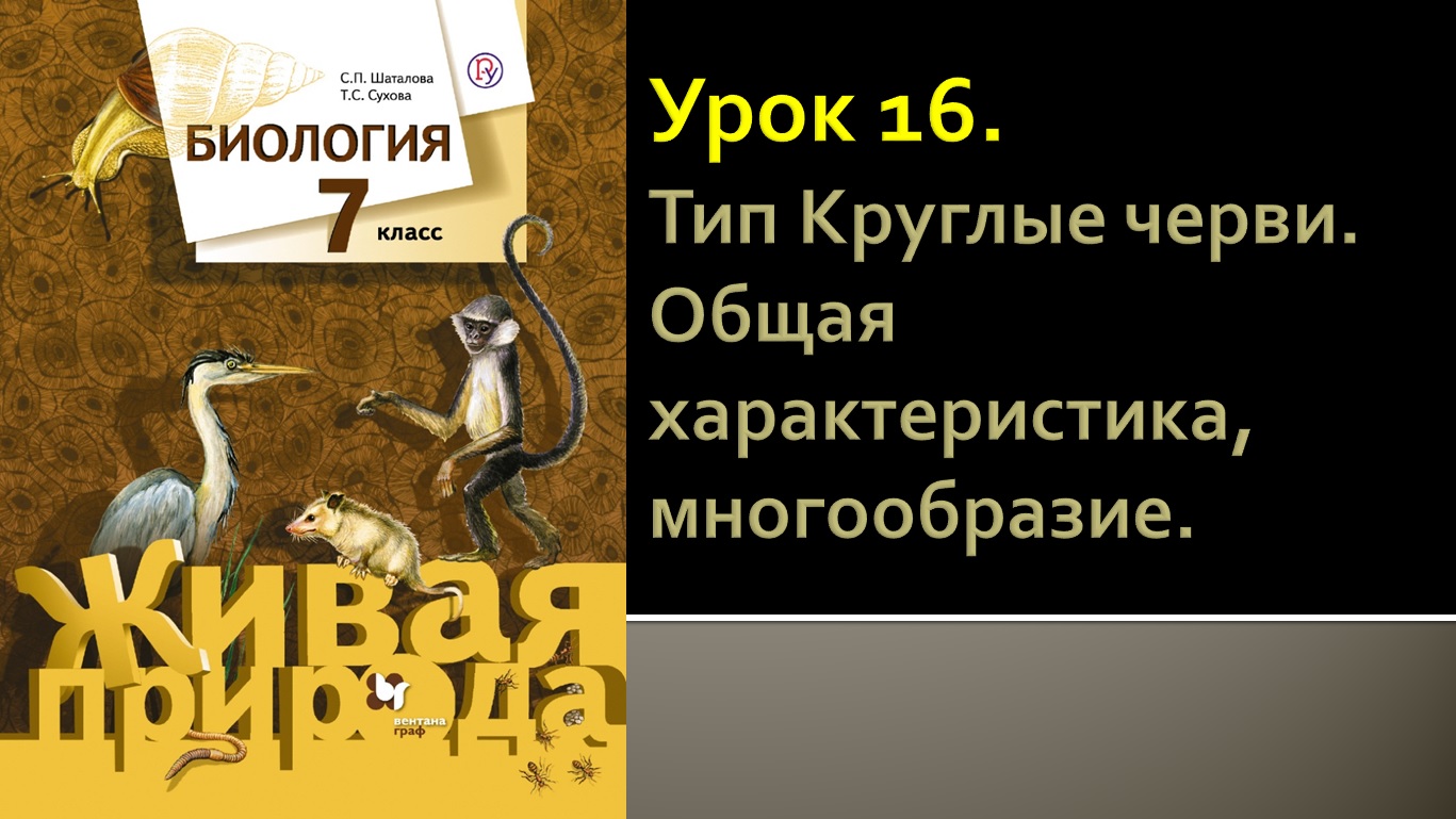 Урок 16. Тип Круглые черви. Общая характеристика, многообразие