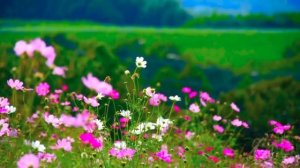 Утренняя медитация на хороший день.