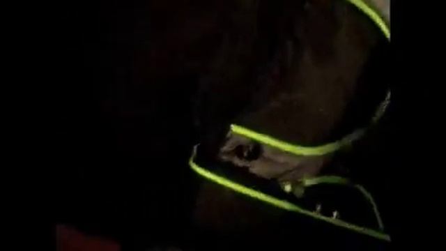 Game Pax Xbox 360 Traveling Backpack Review смотреть онлайн