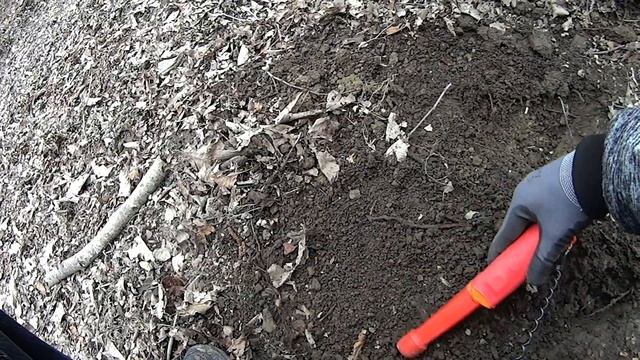 Поиск у озера в лесу. Болт под катушкой. Мусор и монеты. Nokta Makro Simlex plus. #7 смотреть онлайн