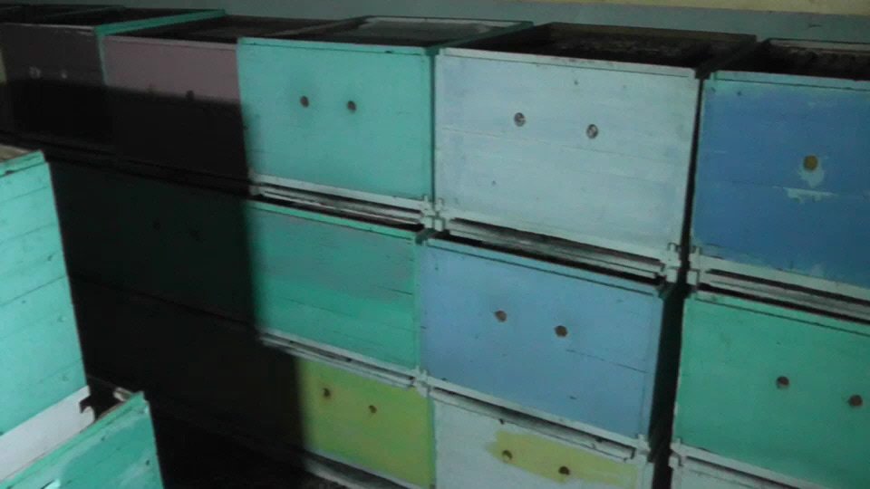 прошла половина зимовки смотреть онлайн