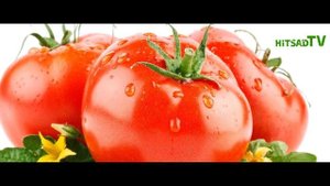 Что сажают под зиму? 2016