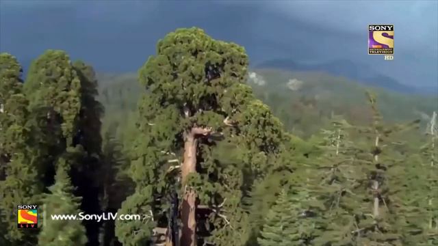 Mata Mahagauri Song - Mata Mahagauri Mantra - Navratri Special смотреть онлайн