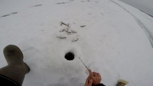 Рыбалка в  Нижегородской области зимой, видео rybachil.ru