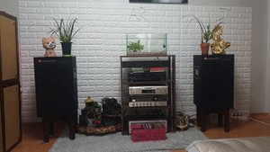 Vọng Gác Đêm Sương - Jbl 4312D