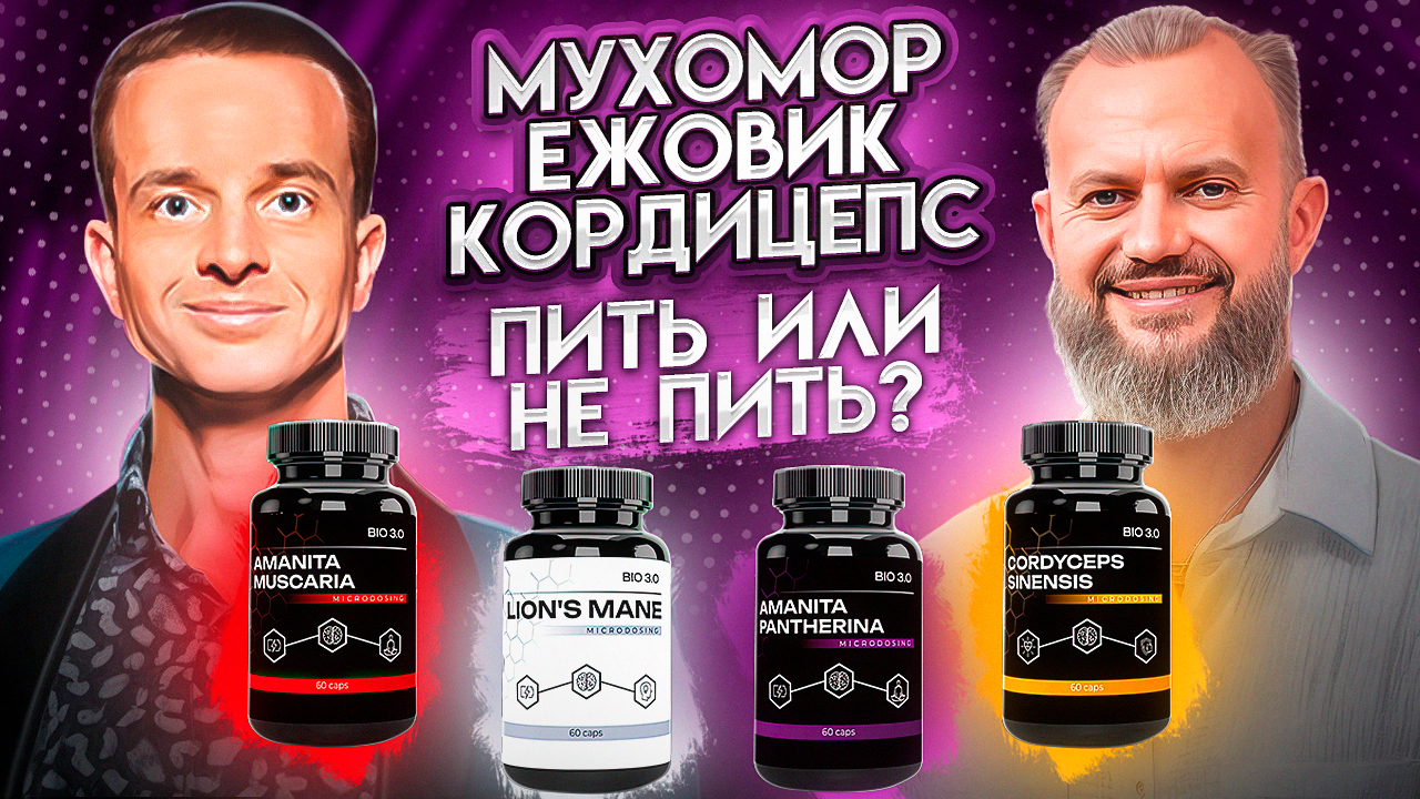 Мухомор, Ежовик, Кордицепс. Пить или не пить?