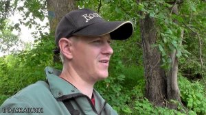 НА ПОПЛАВОК В ТРАВЕ! КАРАСИ НА УДОЧКУ! НОЧЁВКА У ЛЕСНОГО ОЗЕРА Рыбалка на поплавочную удочку #карас