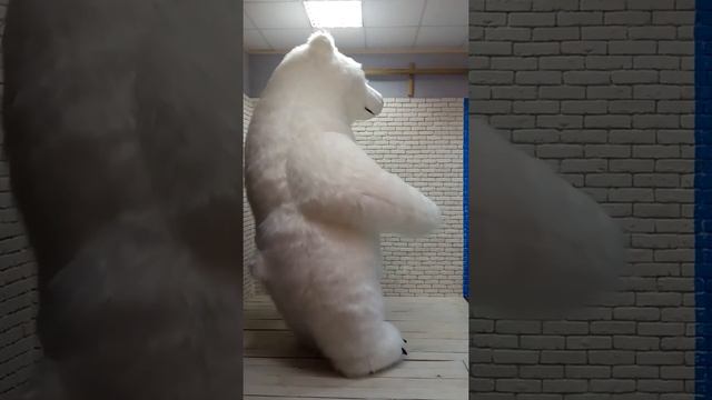 Пневмокостюм Белый Медведь Длинный Мех /  Inflatable Maskots Polar Bear  Long Fur