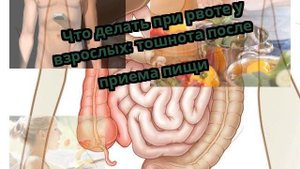 Что делать при рвоте у взрослых: тошнота после приема пищи