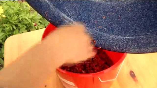 Ягоды Карелии Рецепт из Карельской деревни, брусника толченая смотреть онлайн