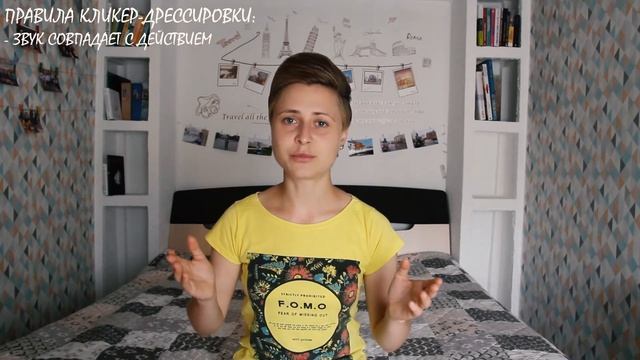 Кликер-дрессировка собак. Что такое кликер? Как работать с кликером? Как приучить йорка к кликеру?