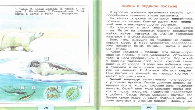 Зона арктических пустынь. Окружающий мир. 4 класс, 1 часть. Учебник А. Плешаков стр. 76-83