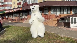 Надувной мишка костюм