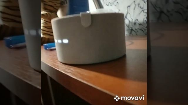Перешоптываемся и желаем друг другу приятных снов с умной колонкой #Алиса .#алиса #умнаяколонка