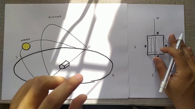 Sun Exposure Para sa Succulents 101 / Types, Saan Makikita & Common Problems смотреть онлайн