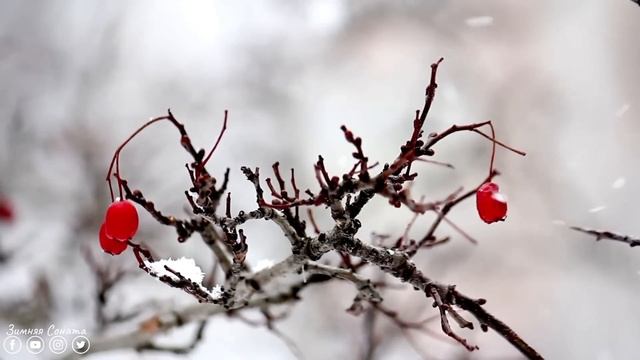 Спокойная Музыка Для Снятия Стресса! Волшебная музыка зимы! Это Безумно Красивая Мелодия смотреть онлайн