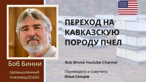 Перевод промышленной пасеки на кавказскую породу пчел (Боб Бинни, США)