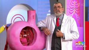 Чем дети могут отравиться на даче? Жить здорово! Фрагмент выпуска от 18.05.2017