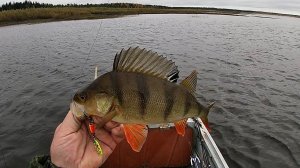 РЫБАЛКА С ВЛАДОМ \ Часть 2 \ ОКУНЬ НА БАЛАНСИР И НА УДОЧКУ \ ОСЕННИЙ КЛЁВ
