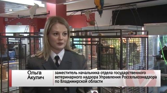 Во Владимире сотрудники Россельхознадзора выявили нарушения на выставке экзотических животных