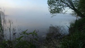 ЛЕЩ УШЁЛ ПРУД БЕРЕЗОВКА В ХОРЛОВО.