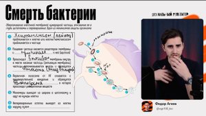 Фагоцитоз за 5 минут | ОГЭ по биологии | Федор Агеев