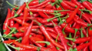 мальчики дикари в лесу нашли много яйца утки и приготовили кушать еду