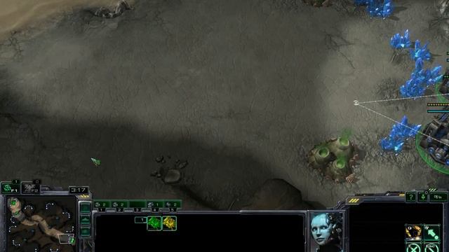 Heart of the Swarm: Cheese смотреть онлайн