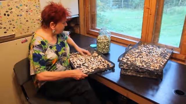 Как хранить сушёные грибы Правила, проверенные годами смотреть онлайн