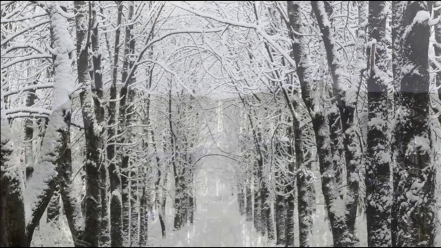 25 кадр. Лечение зависимости от компьютерных игр (кибераддикции) за 2-3 недели. смотреть онлайн