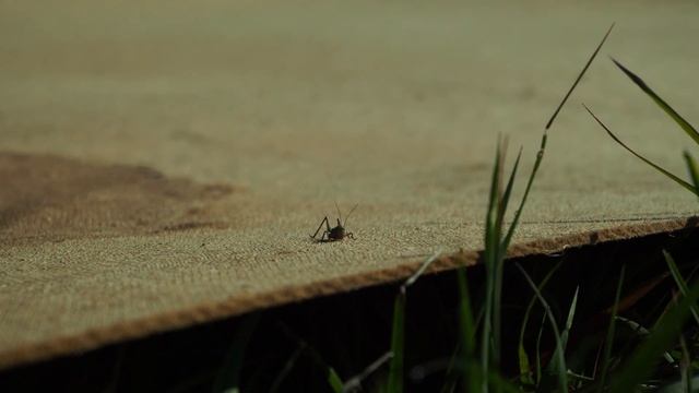 ПРОДОЛЖАЮ ПИЧКАТЬ БЫТОВКУ ОКНАМИ // ДАЧА ИЗ БЫТОВКИ смотреть онлайн