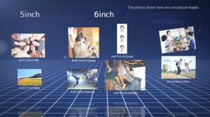 DNP DS620 6-inch printer