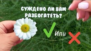 Суждено ли вам разбогатеть?