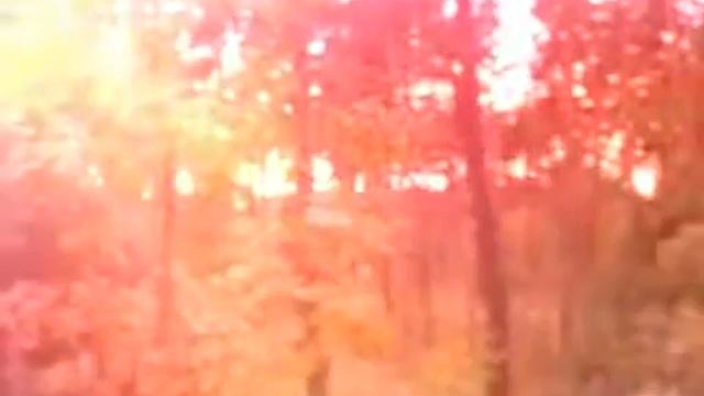 "Солёные ножки". Сказка. Сергей Козлов. смотреть онлайн