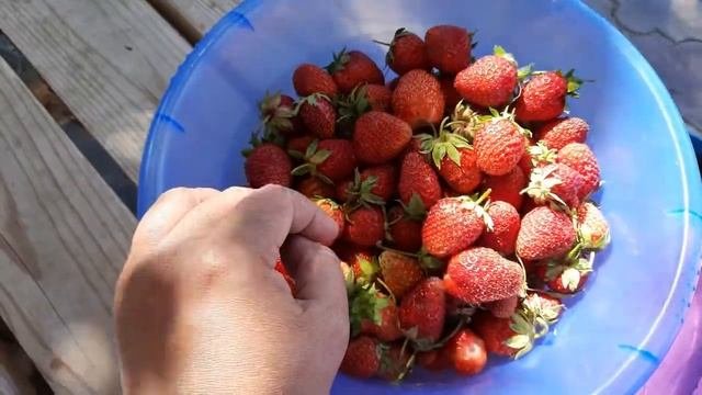 СОБРАЛА КЛУБНИКУ ДЕЛАЕМ КЛУБНИЧНОЕ ВАРЕНЬЕ БЕЗ ВАРКИ