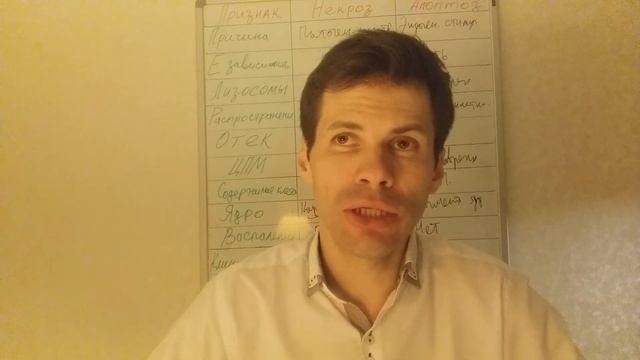 Вопрос 13. Эмболия - определение процесса, причины, виды, последствия для организма