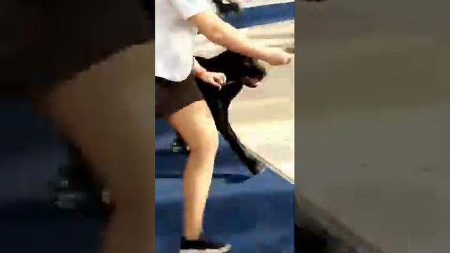 видео нашей выпускницы с выставки в Казани девочке 7 мес ❤дебют прошёл очень удачно 🤩 смотреть онлайн