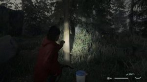 Alan Wake 2 [#8 Исследование ранее затопленной местности (городок Уотери)]