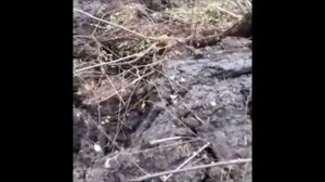 На Урале заработал вулкан? После землетрясения на Урале появился грязевой вулкан. Или это оползень?