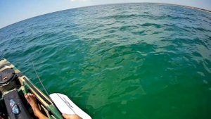 Каякинг на Чёрном Море. Ставрида на косе Беляус.