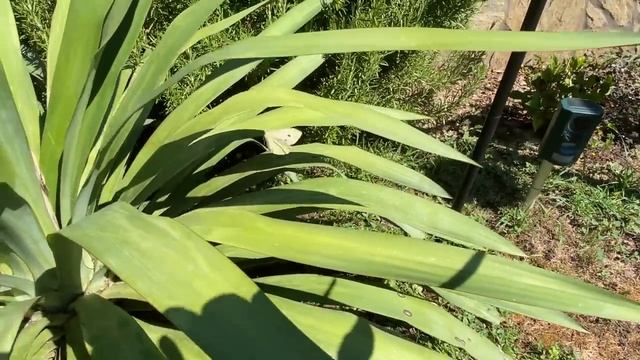 Не Хочу Быть Блогером. #vlog #slovenia #отпуск смотреть онлайн