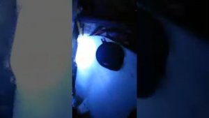 Приус20 не глохнет