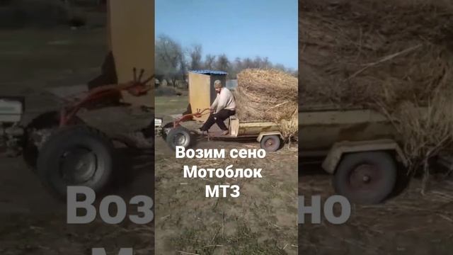 МОТОБЛОК МТЗ