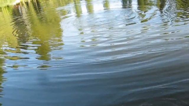 Генеральские озера.17.18.19 июля 2013. смотреть онлайн