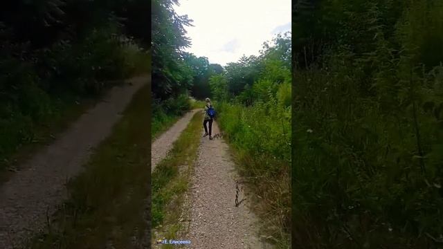 Кайфуйте! Жизнь одна! ?? #shorts